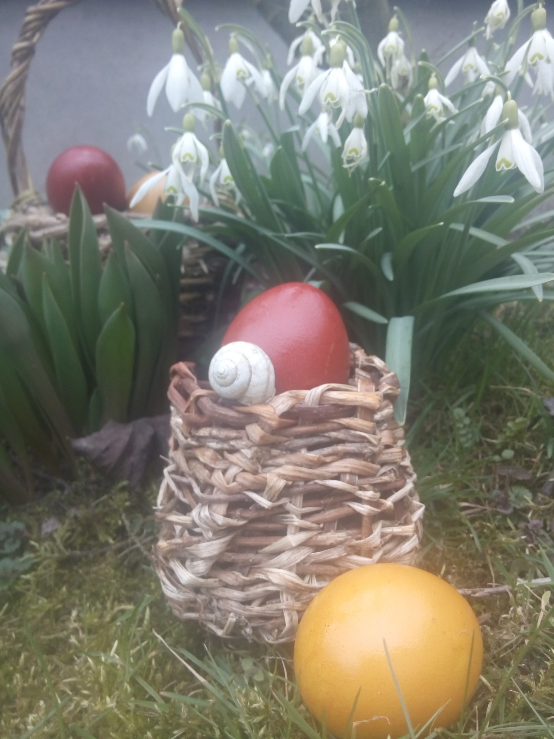 Ostereier im Körbchen Ostereier im Körbchen