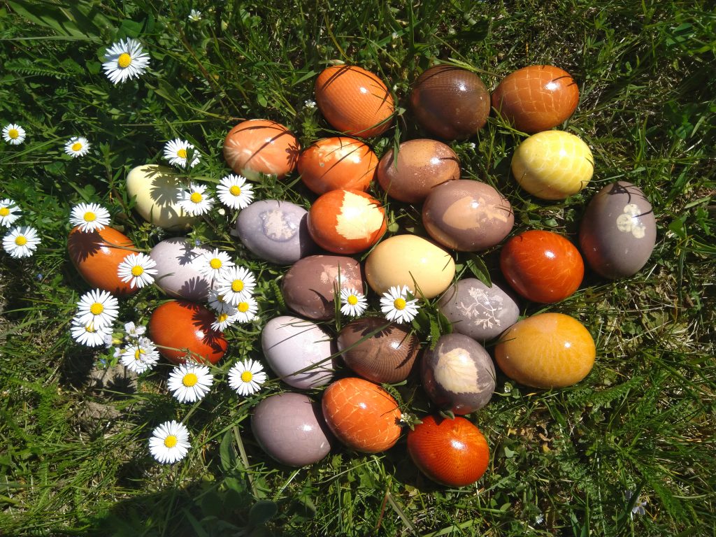 Ostereier mit Naturfarben färben