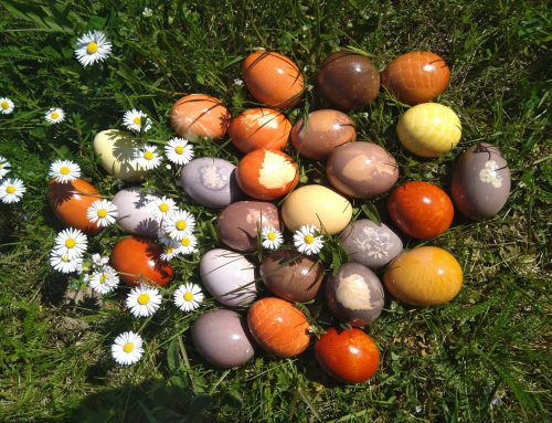 Ostereier mit Naturfarben färben