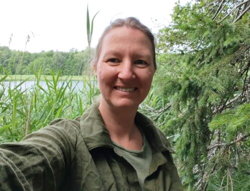 Mit mir selbst im Gepäck – Wildmoon